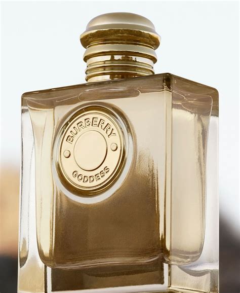 collectors table top burberry parfum|burberry goddess macy's.